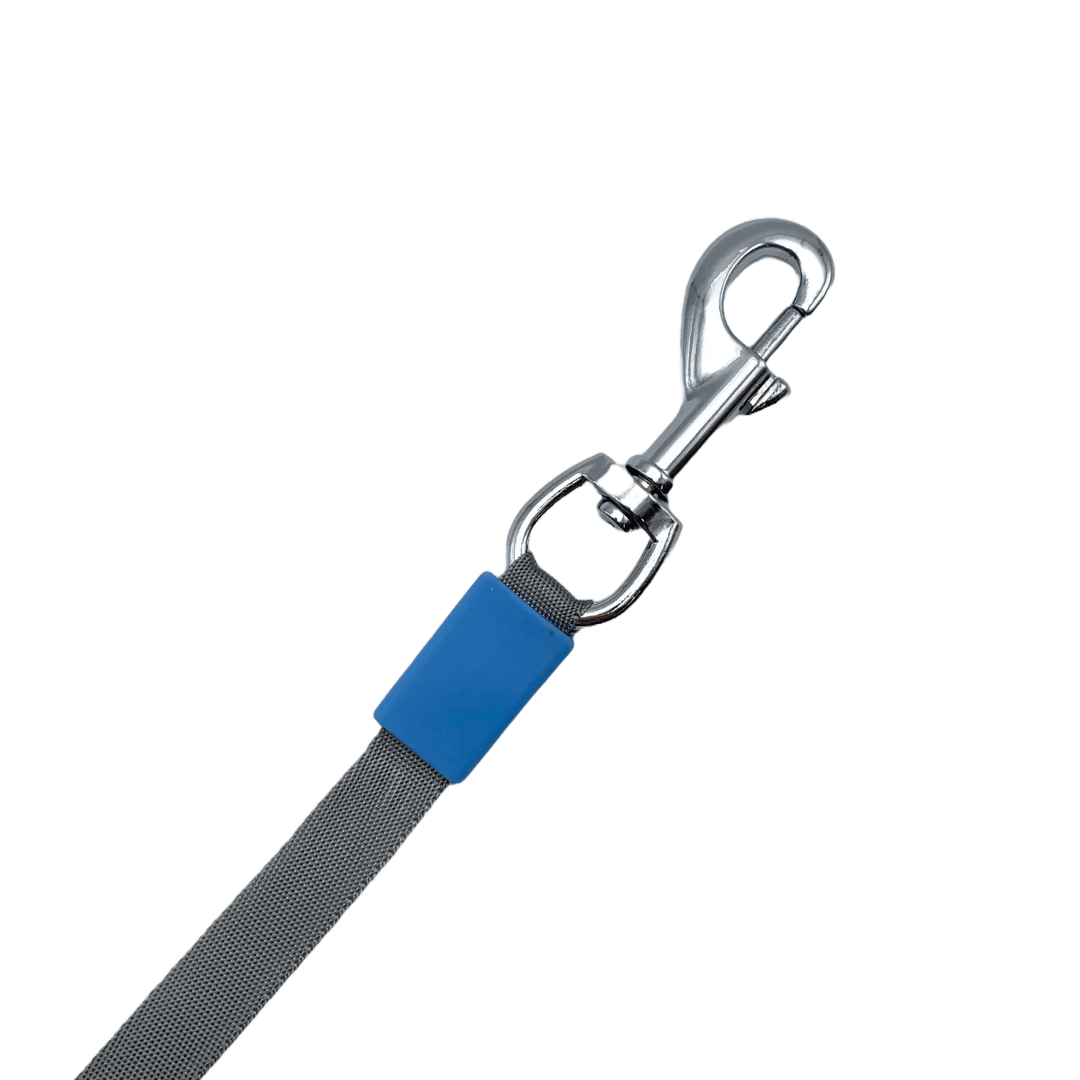 Laisse rétractable 3 en 1 | Sans destination fixe