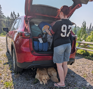 Famille en camping avec son véhicule de plein air