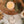 Foresta - Chandelle réutilisable