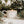 Foresta - Chandelle réutilisable