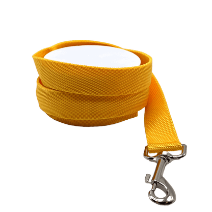 Laisse lumineuse | Sans destination fixe