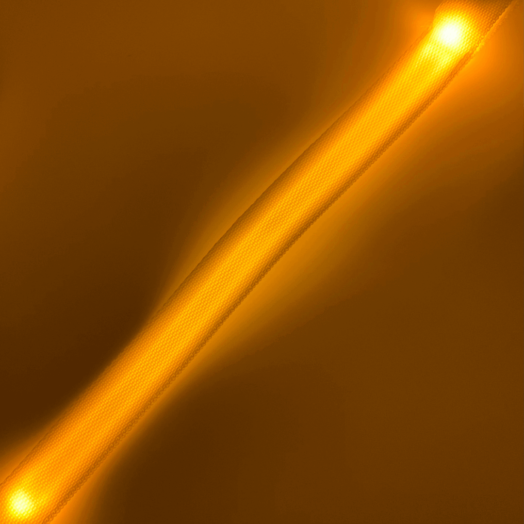 Laisse lumineuse | Sans destination fixe