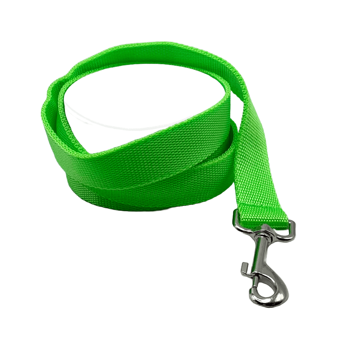 Laisse lumineuse | Sans destination fixe