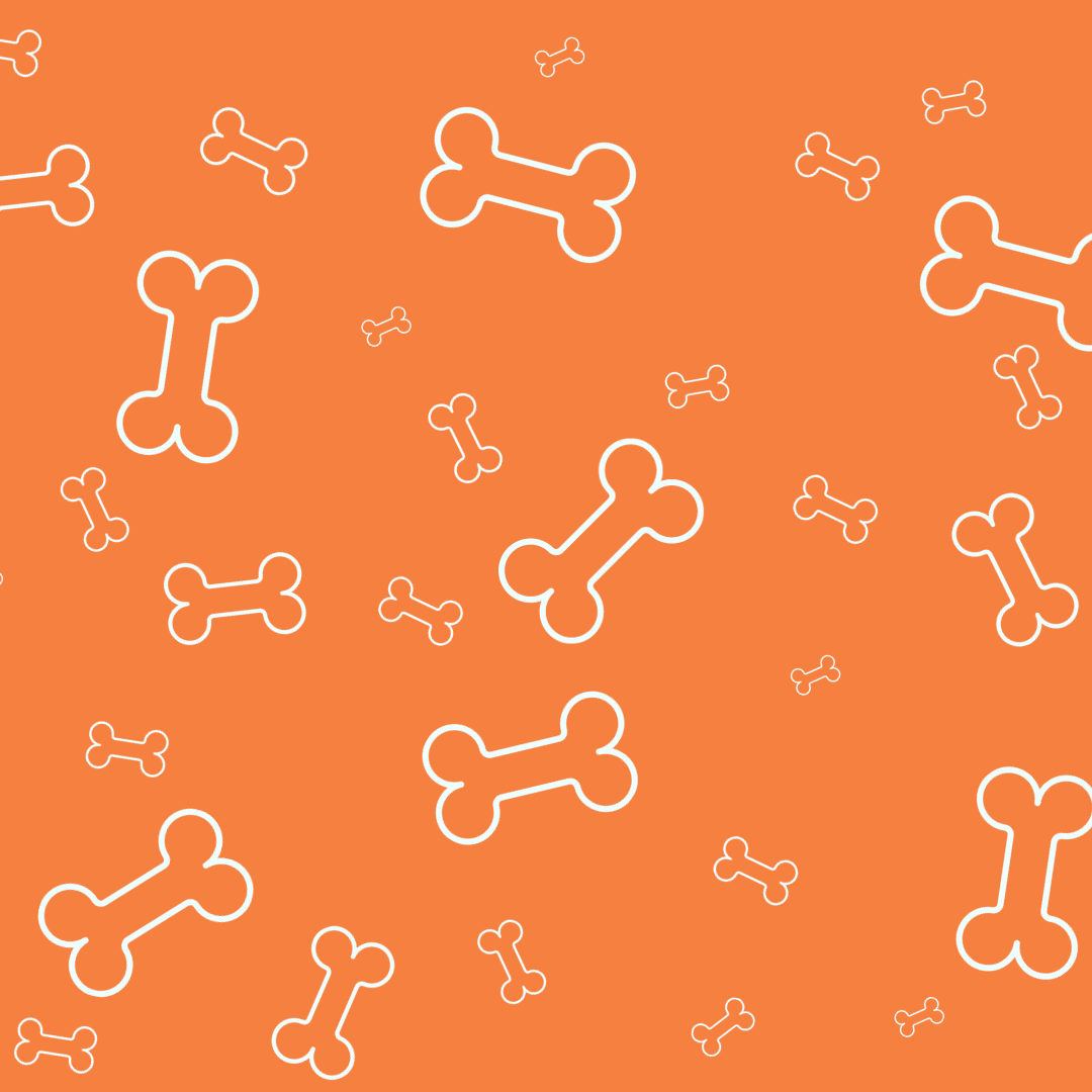 Distributeur de sacs à ramassage - Y a un os | Sans destination fixe