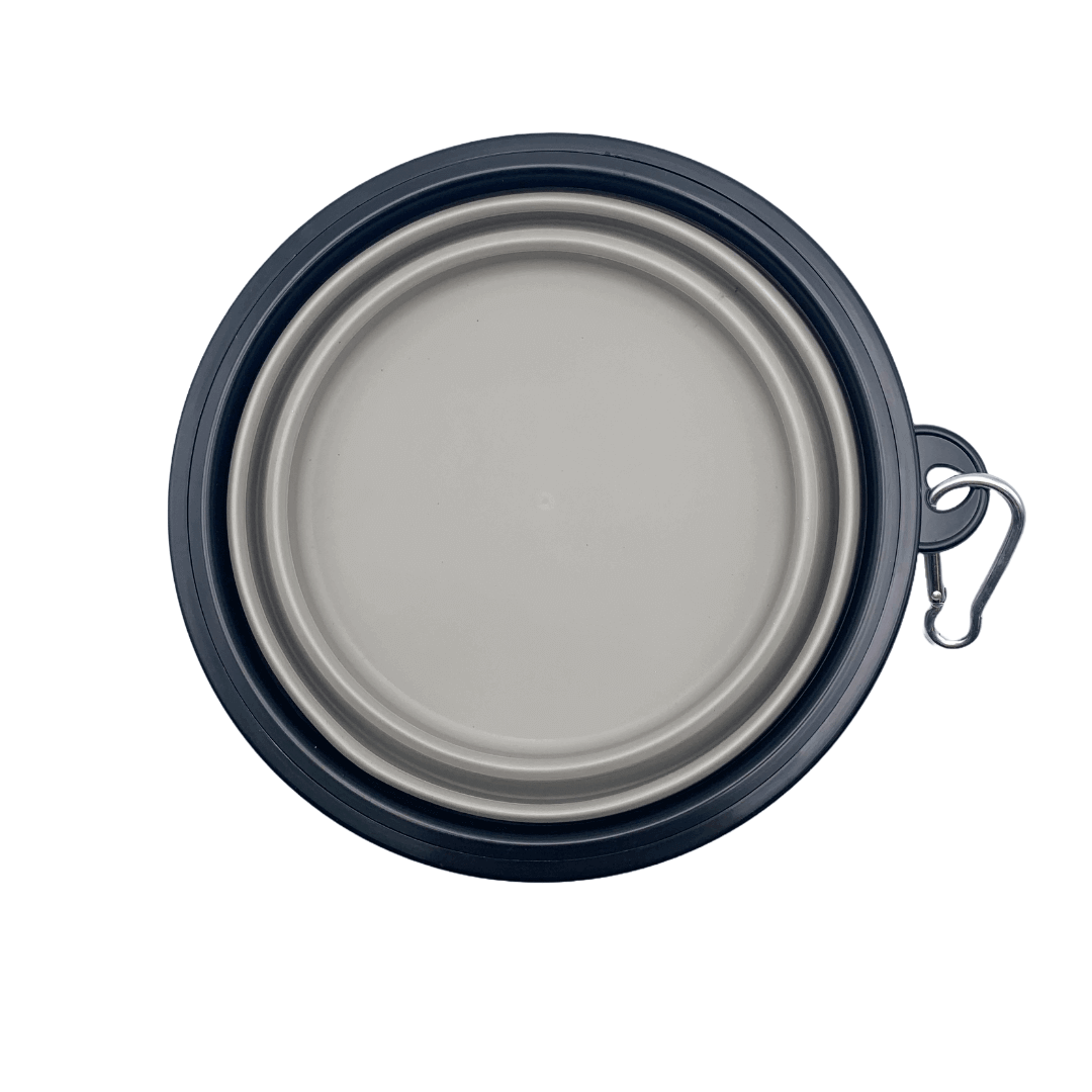 Bol pliable | Sans destination fixe