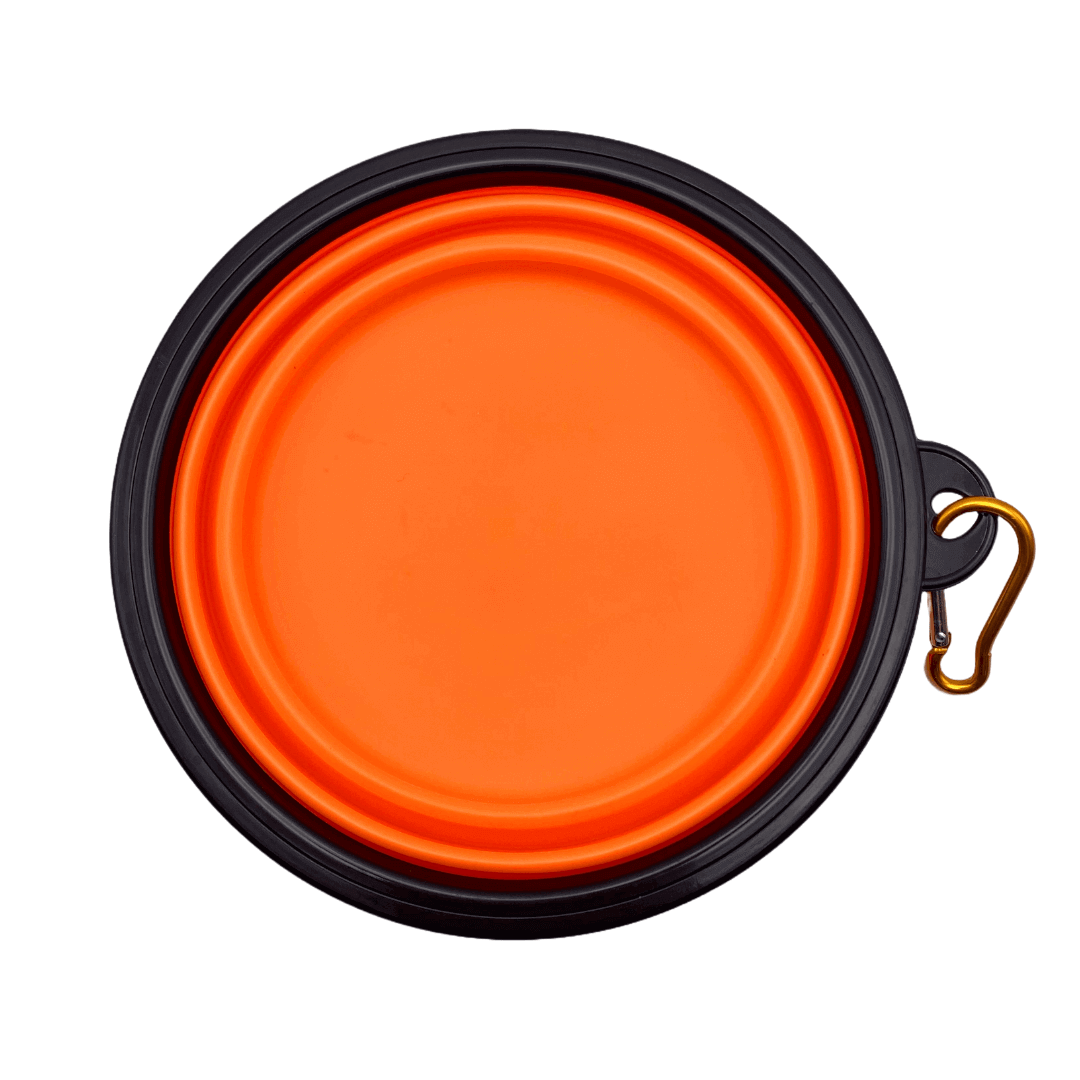 Bol pliable | Sans destination fixe