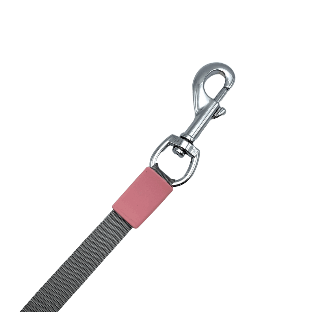 Laisse rétractable 3 en 1 | Sans destination fixe